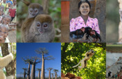 Help SOS save Madagascar's Lemurs and Communities