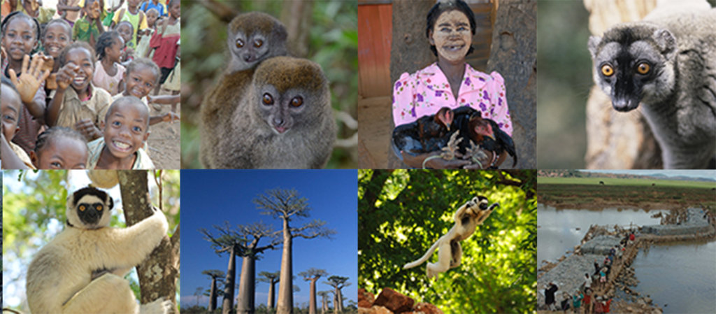 Help SOS save Madagascar's Lemurs and Communities