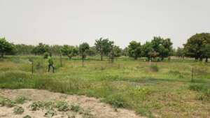 Irrigation system using the basin harvested water