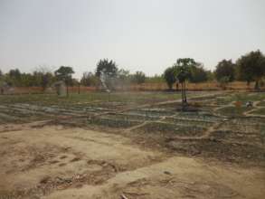 Small scale sprinkler irrigation system by solar
