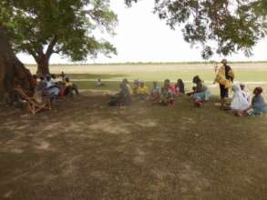 Kougny, discussing the planting schedule