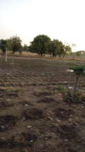 Solar power sprinkler system, Kougny
