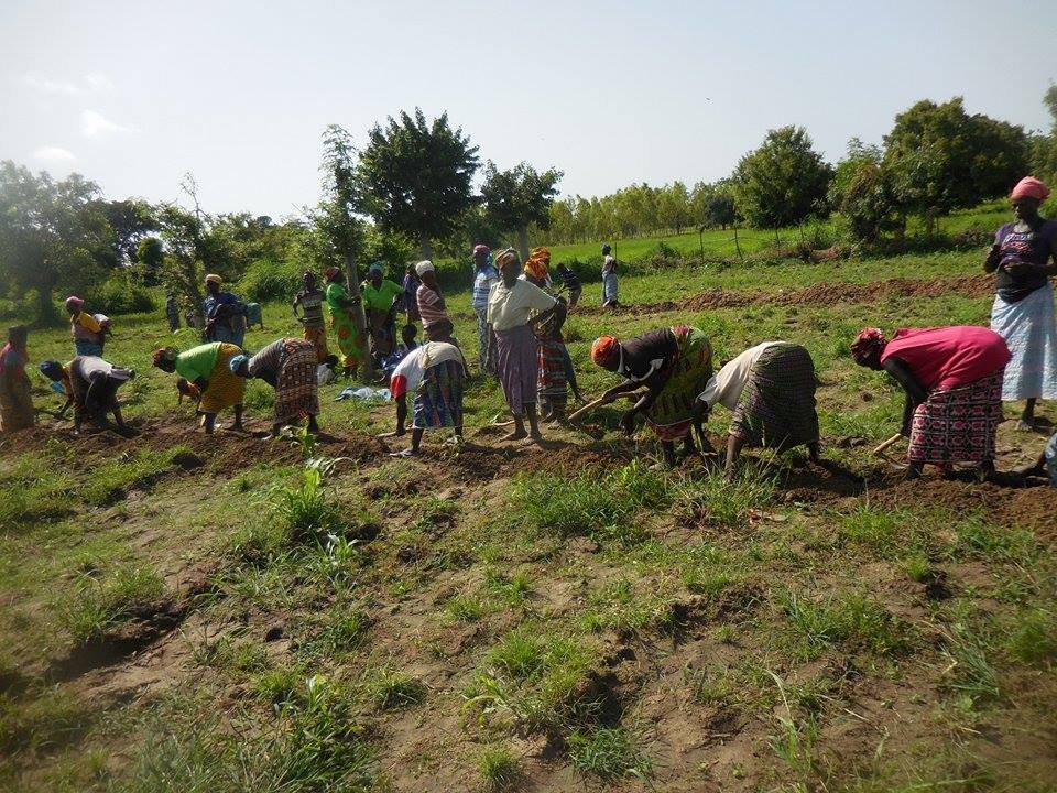 women involvement in the project