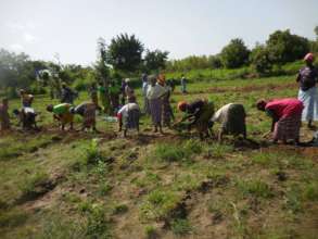 women involvement in the project