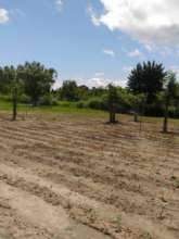 Sprinkler system powered by solar energy