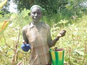 Rosalie carrying a basket of okra harvested