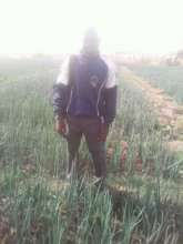 Extension agent from Ministry of Agriculture
