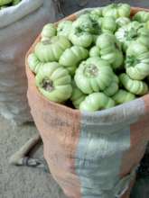 Humongous bag of harvested crops