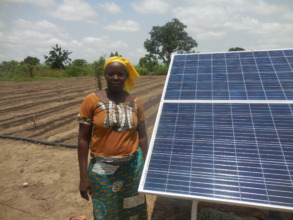 Drip irrigation solar pumping system