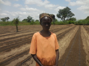 Drip system powered by solar