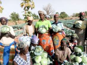 A Plethora of Cabbage - Thank You Water