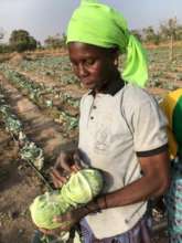 Farmer Catrin With Cabbage