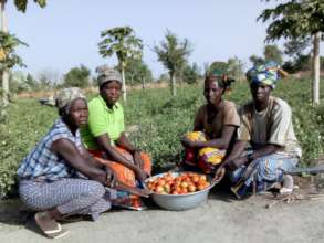 Women farmers in the village of Kamsi