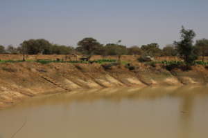 Rainwater Catchment Basin Holds Water