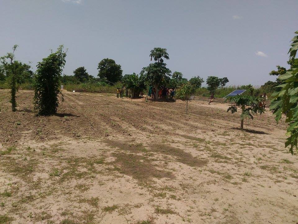 Sprinkler irrigation powered by solar energy