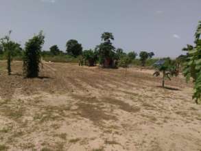 Sprinkler irrigation powered by solar energy