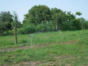 Solar Sprinkler System Installed by CBG