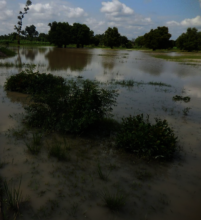 View of the rainwater catchment basin, July 2019