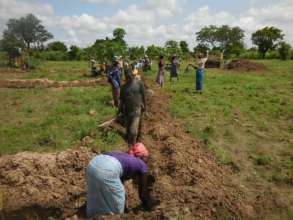 Women digging tranches to bury irrigation pipes