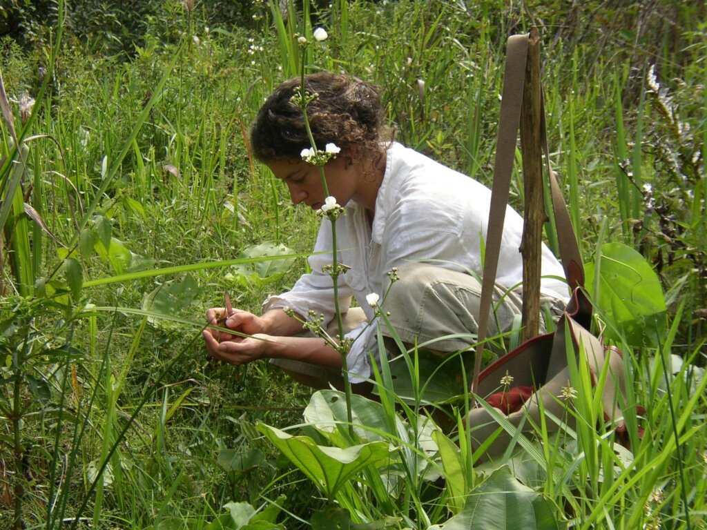 Seeds fall far from the tree