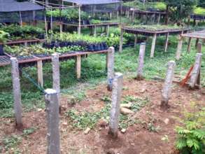 New seedling table being built at the nursery