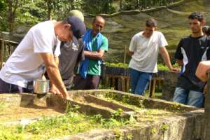 Planting carefully the seeds on the workshop
