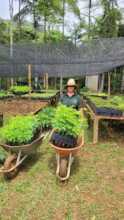 Fran from the Nursery getting the seedlings ready!