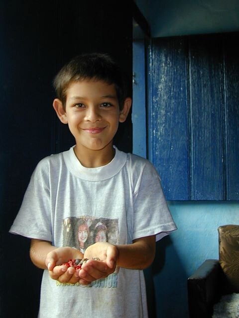 It's never to early to start collecting seeds!