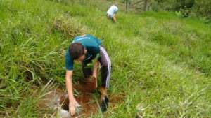 Luiz: driver, good friend and tree planter