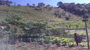 Lurdinha - Family farmer at her organic gardening