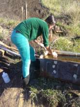 Collecting water from Nelson's spring