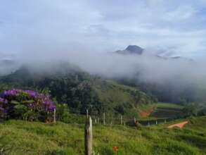 Iracambi in the 2000s and our beautiful forest