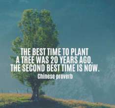Wise words about tree planting