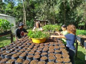 Volunteers planting Palmito Jussara!