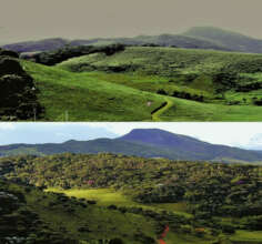 One of the areas that were restored. Cool, right?