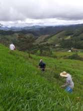 Hard work on the hillside!