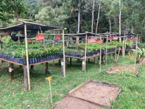 We have identification plates for seedlings now!