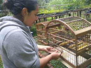 Feeding the birds