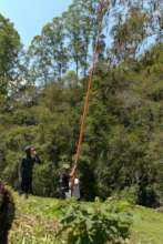 Collecting hard to reach seeds