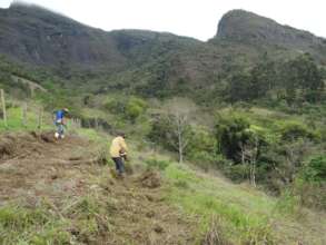 Clearing the land