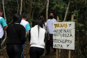 Discovering our forest trails