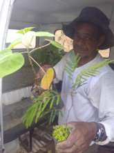 De helping to unload the Irakombi