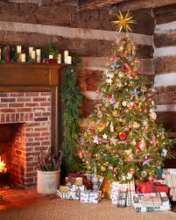 Trees for Christmas