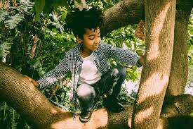 Trees for climbing