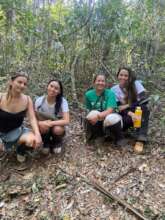 Team collects images from camera traps