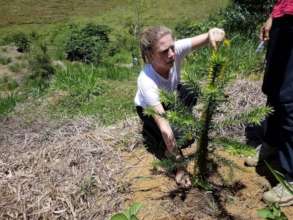 Margot monitoring a young tree