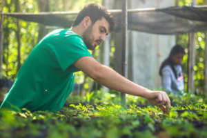 TLC for our seedlings!