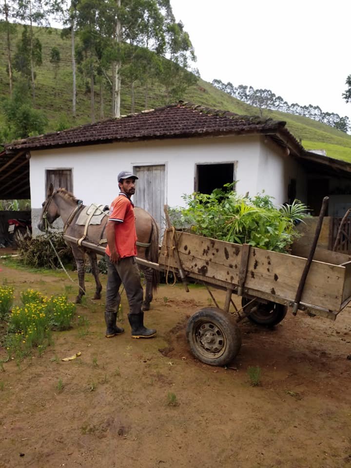 Forests4Water Brazil: Community Climate Action