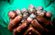 Forests4Water Brazil: Community Climate Action