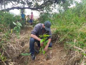 Planting the last seedlings!